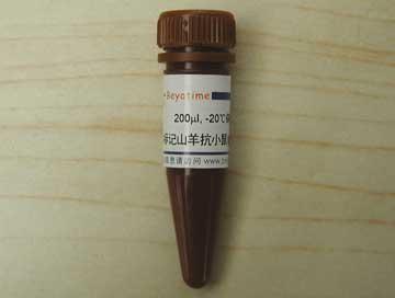 AMCA标记山羊抗小鼠IgG(H+L)